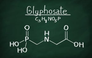 Could an EPA Staffer Have Colluded with Monsanto About Shutting Down Glyphosate Investigation?