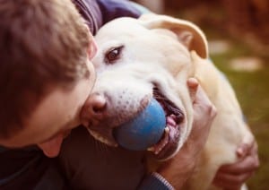 Flu Strain in Dogs Could Jump to Humans, According to Researchers