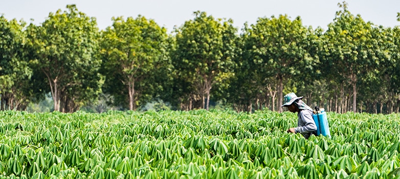paraquat