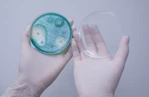 Pseudomonas Outbreak in Sumter: What You Need to Know About Infections at Prisma Health Toumey Hospital